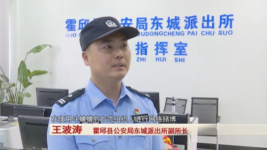 直播间里斗蛐蛐，背后竟隐藏着这个秘密...警方出动！