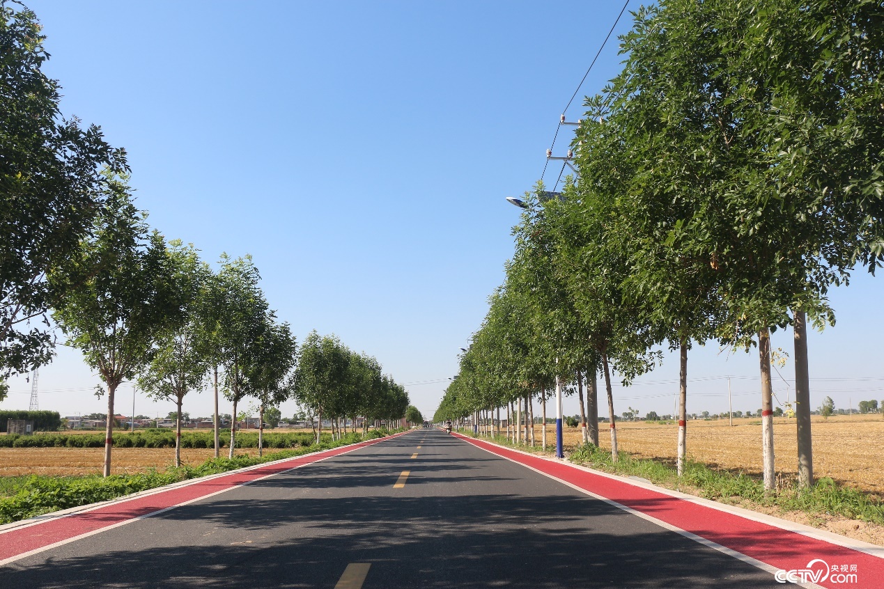 河北邢台:“交通线”变“风景线” 铺就乡村振兴“快车道” 河北邢台:“交通线”变“风景线” 铺就乡村振兴“快车道”