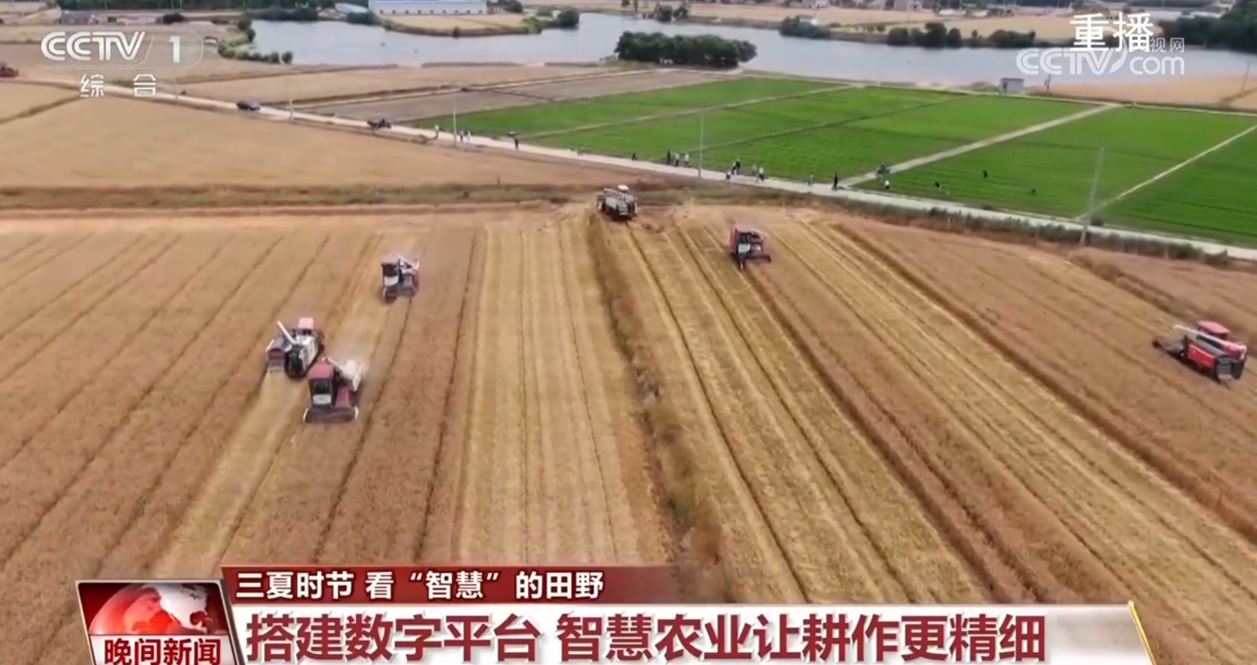 三夏时节涌现更多“科技范儿” “智慧”让中国人的饭碗端得更稳 三夏时节涌现更多“科技范儿” “智慧”让中国人的饭碗端得更稳