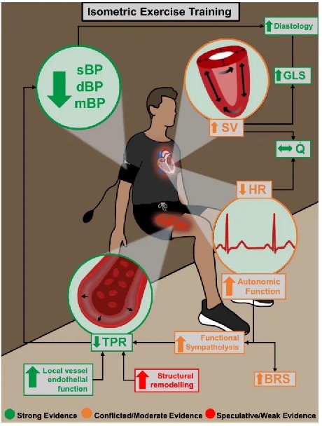 每天蹲一蹲十几分钟，没想到好处这么多！