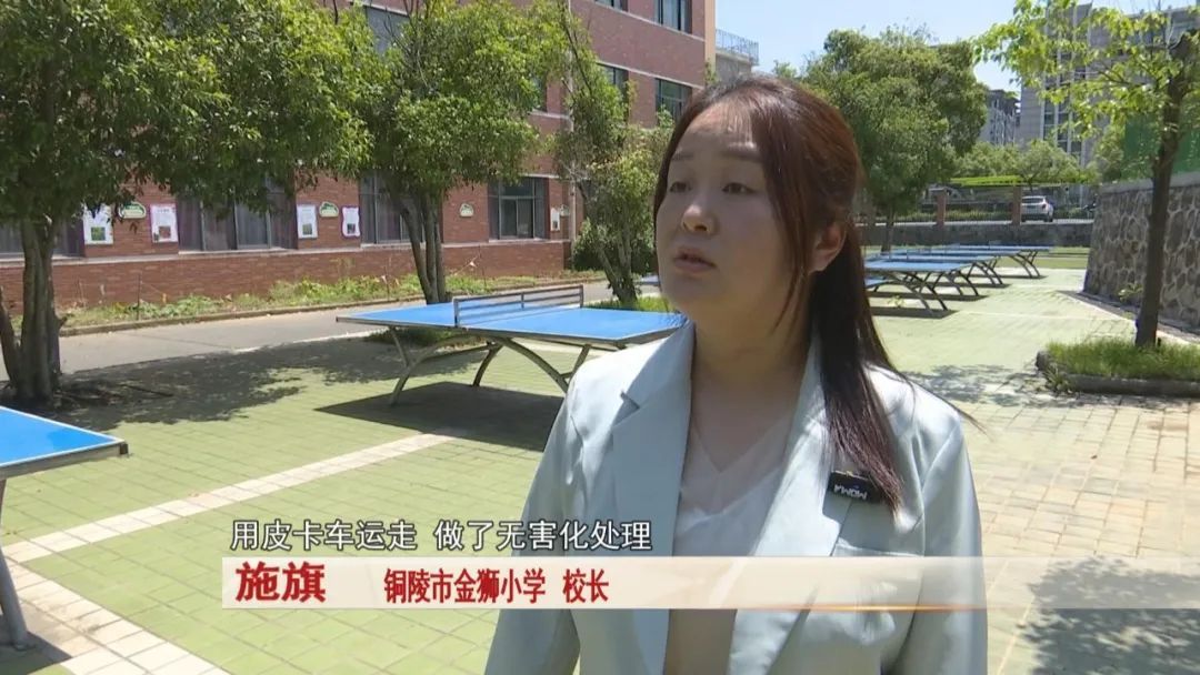 一头野猪突然跑进校园,关键时刻,校园里一名保安及时出手! 一头野猪突然跑进校园,关键时刻,校园里一名保安及时出手!