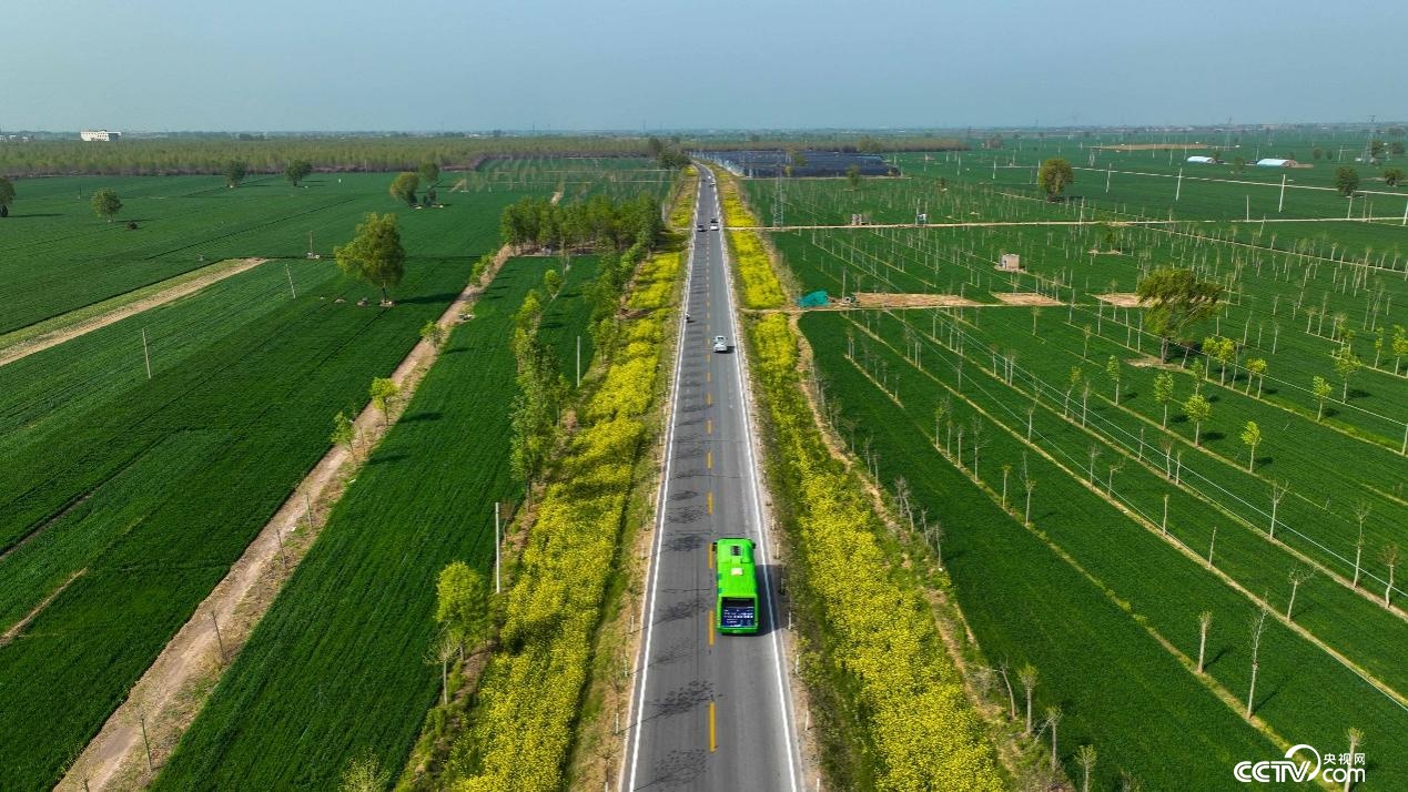 河北邢台:“交通线”变“风景线” 铺就乡村振兴“快车道” 河北邢台:“交通线”变“风景线” 铺就乡村振兴“快车道”