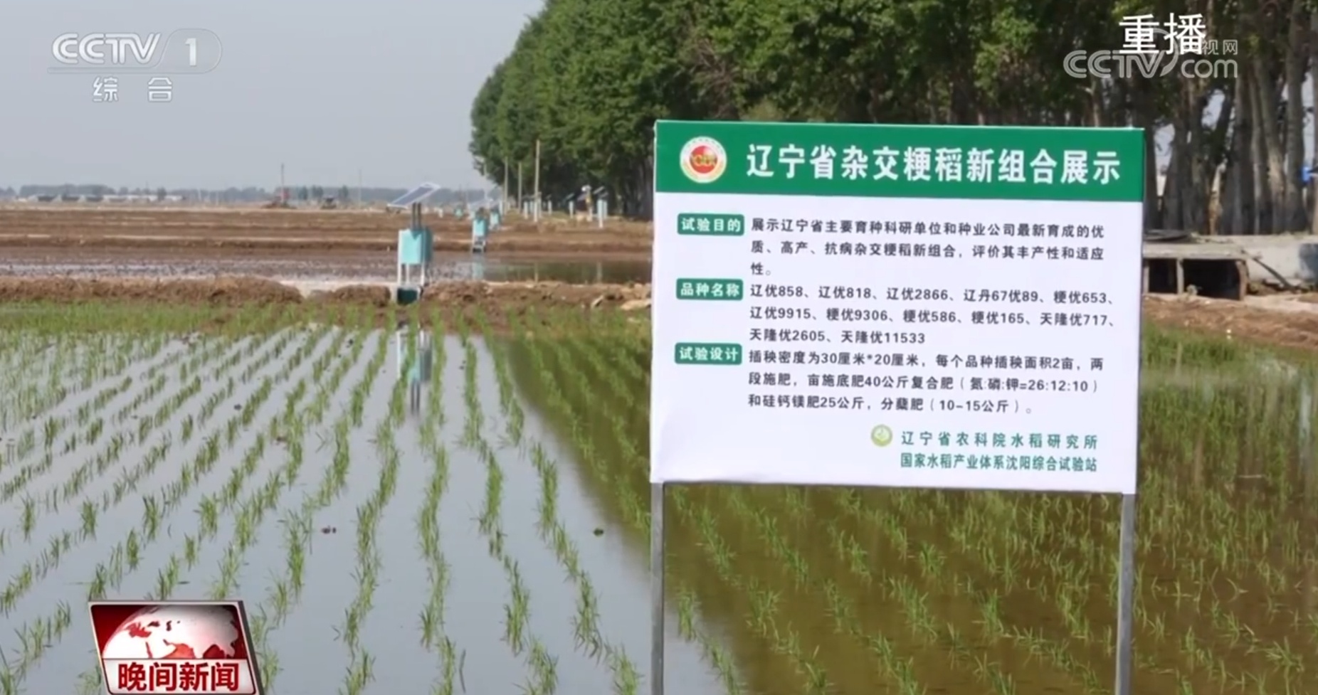 三夏时节涌现更多“科技范儿” “智慧”让中国人的饭碗端得更稳 三夏时节涌现更多“科技范儿” “智慧”让中国人的饭碗端得更稳