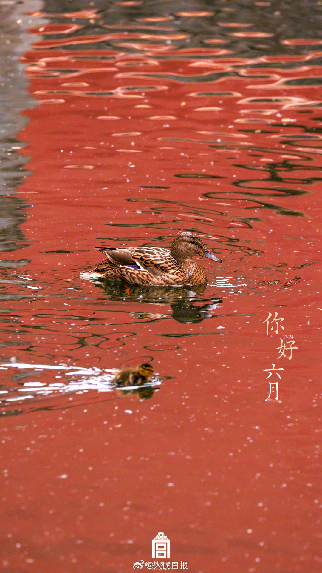 收藏时光！故宫2024上半年壁纸