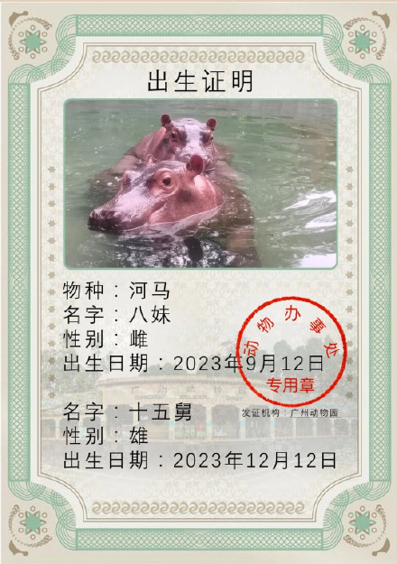 广州动物园今年过“六一”的“小朋友”增加啦！动物“宝宝”们畅享萌趣“儿童节”