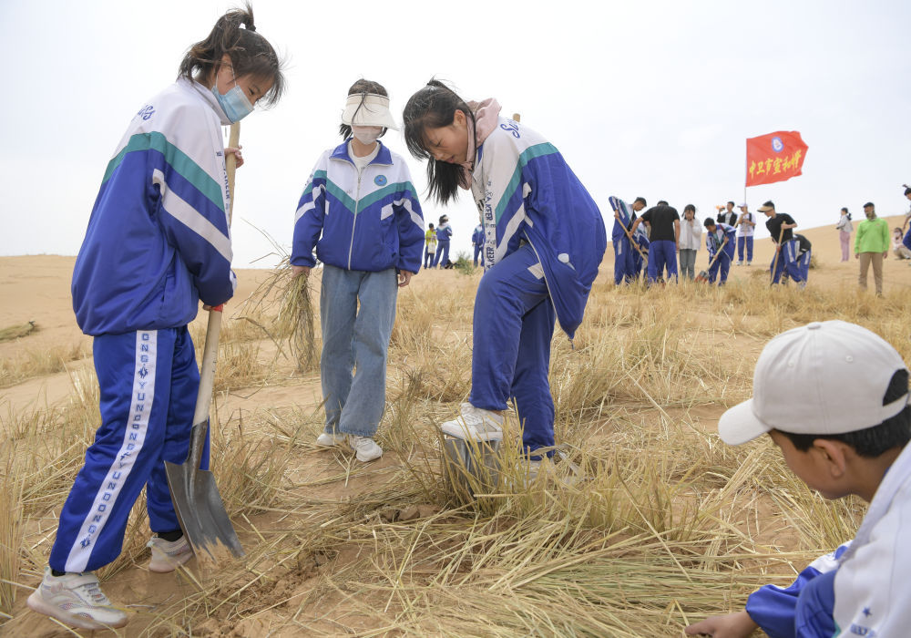 沙漠里的治沙研学课 沙漠里的治沙研学课