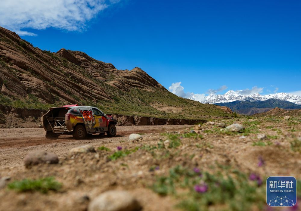 多图!2024年环塔拉力赛第九赛段精彩瞬间 多图!2024年环塔拉力赛第九赛段精彩瞬间