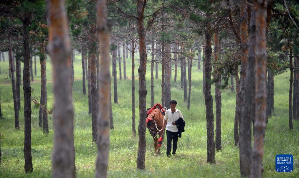 图片故事丨护林员李东魁——深情紧系万林涛 图片故事丨护林员李东魁——深情紧系万林涛