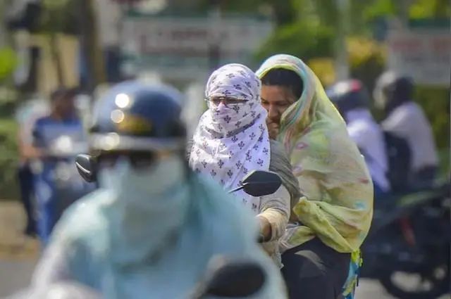 最高52.3℃！过去24小时，这地至少85人疑被“热死”！