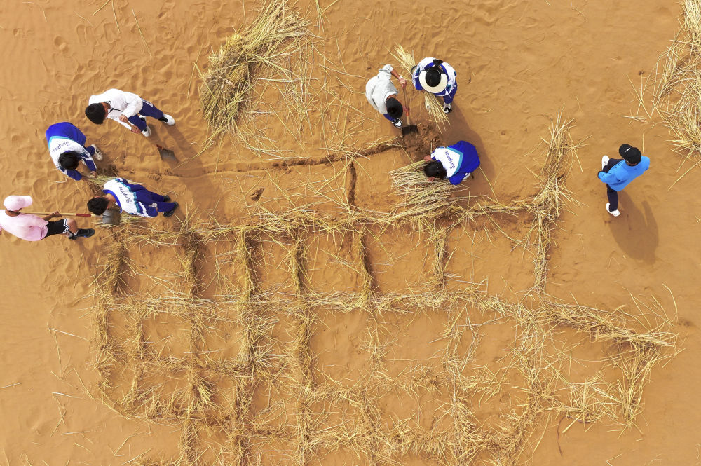 沙漠里的治沙研学课 沙漠里的治沙研学课