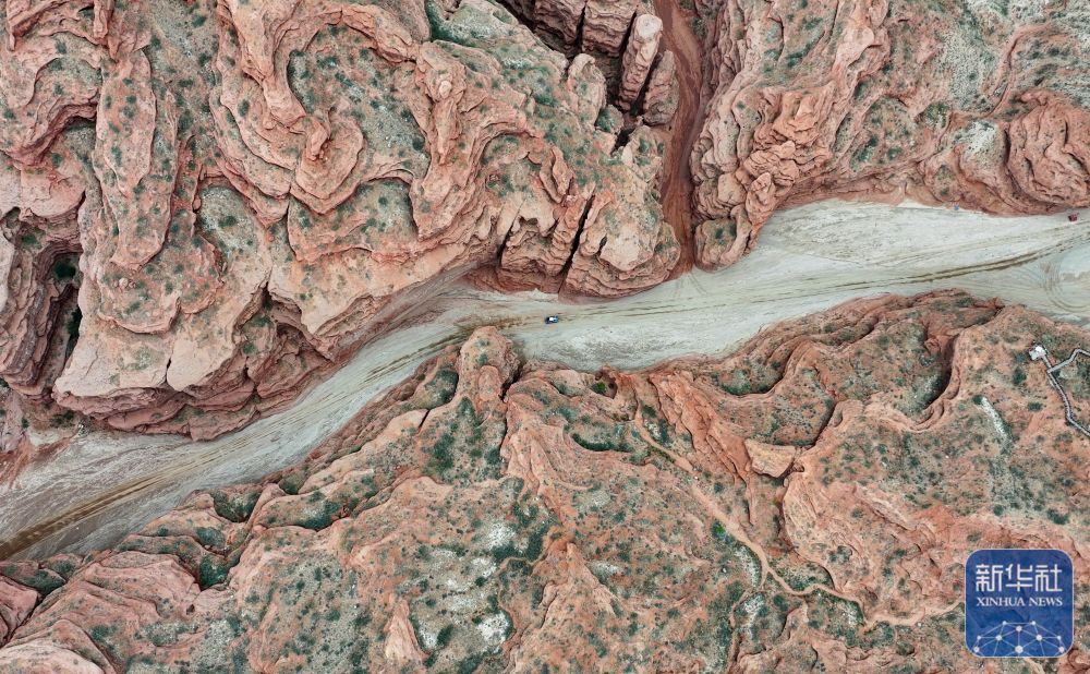 多图!2024年环塔拉力赛第九赛段精彩瞬间 多图!2024年环塔拉力赛第九赛段精彩瞬间