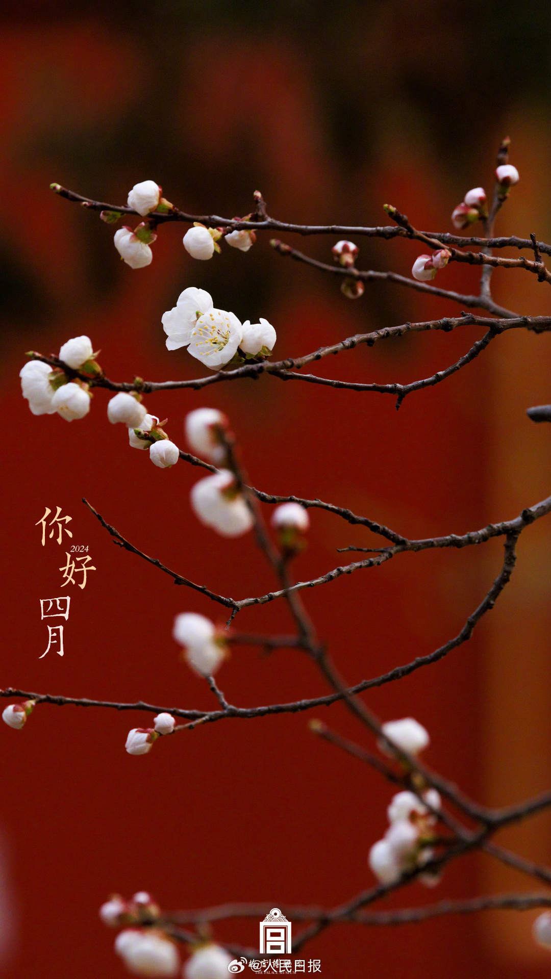 收藏时光！故宫2024上半年壁纸