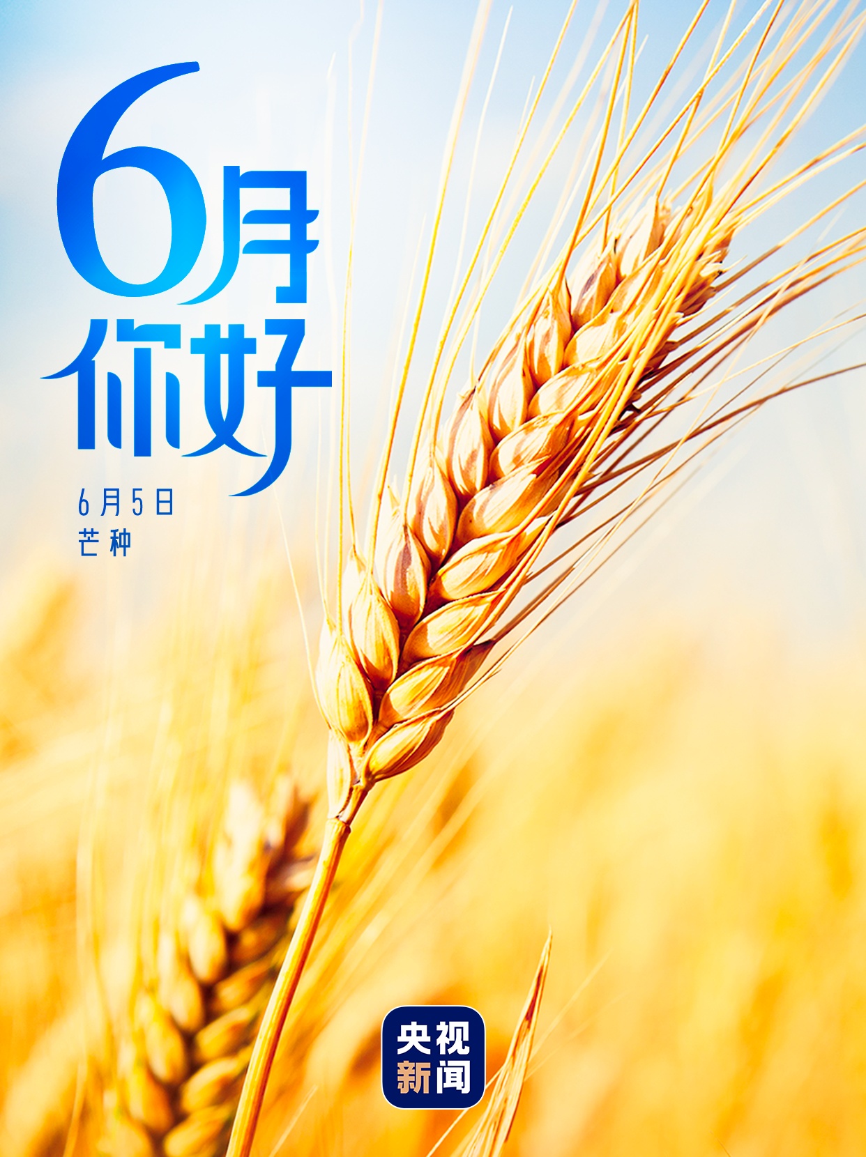 6月,你好! 6月,你好!