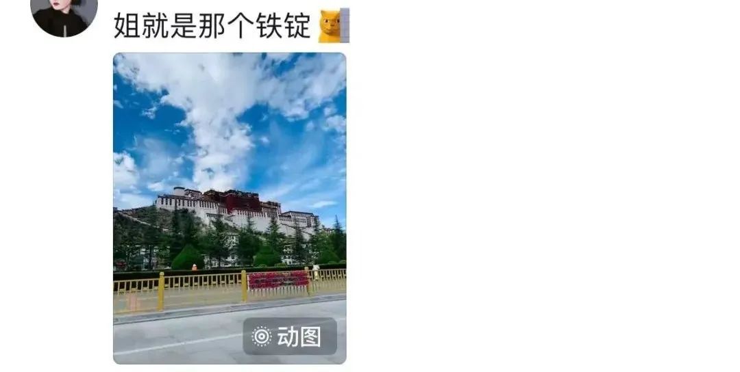 直达拉萨！山东“铁腚大巴”火出圈，票价近万元