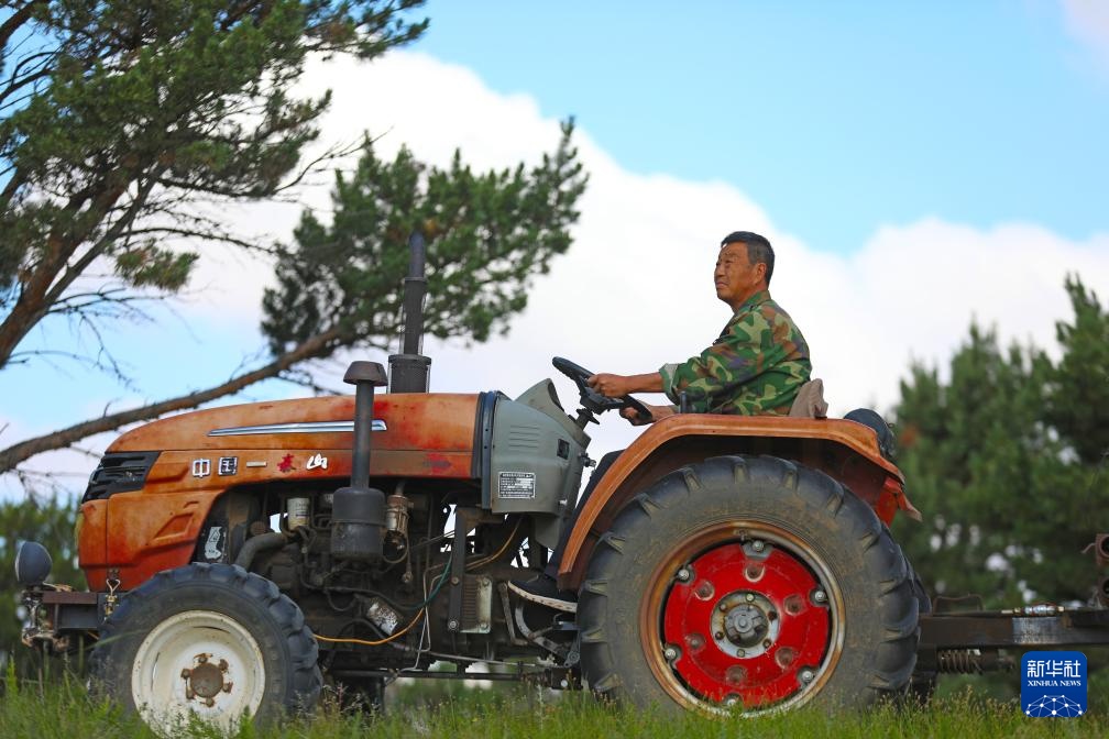 图片故事丨护林员李东魁——深情紧系万林涛 图片故事丨护林员李东魁——深情紧系万林涛