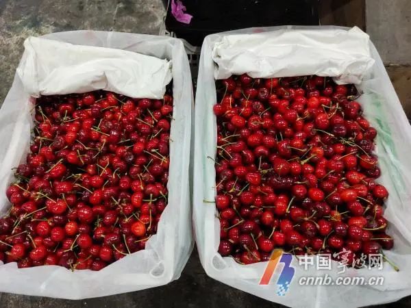 价格“腰斩”！这口酸甜滋味最近大热