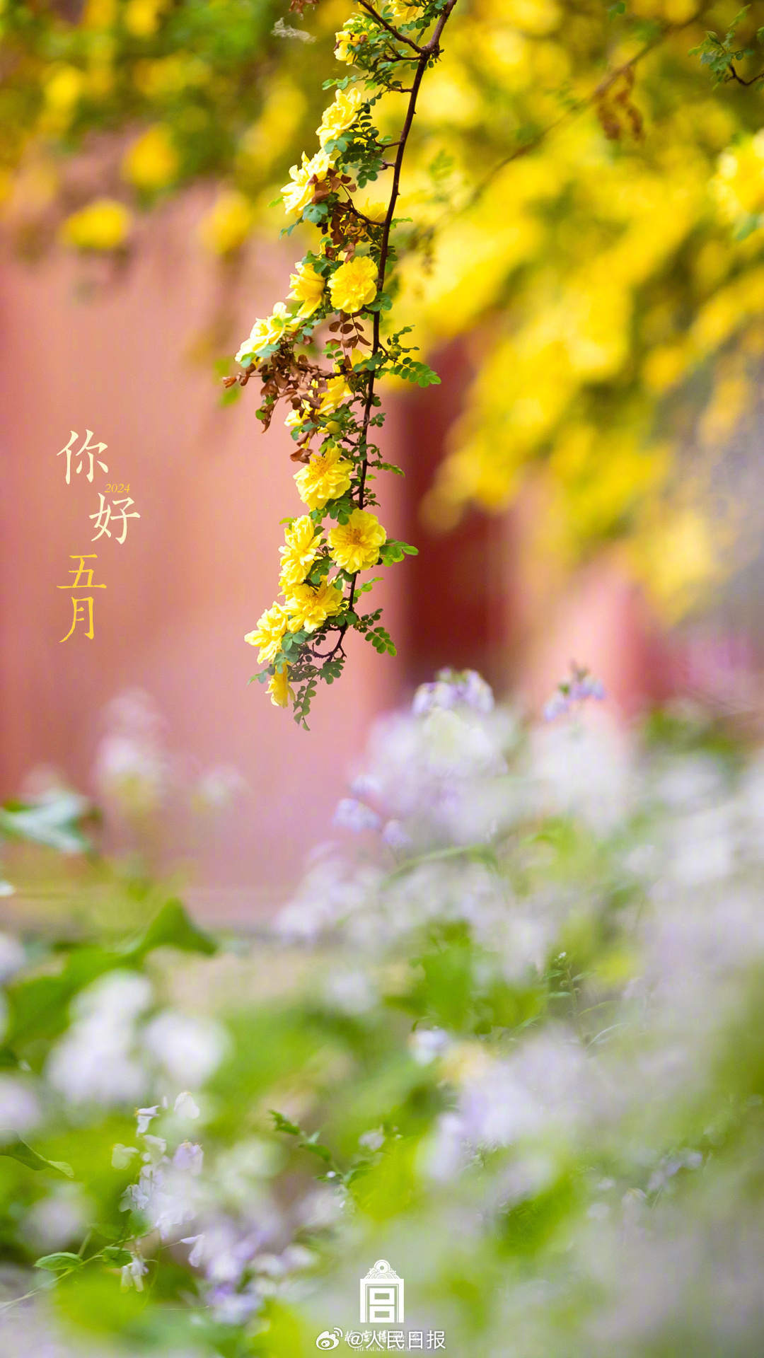 收藏时光！故宫2024上半年壁纸