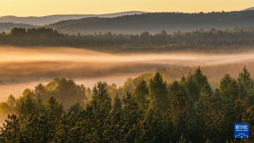河北塞罕坝：山川雾霭 光影流岚
