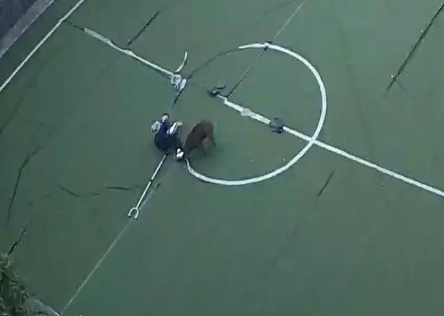 为了保护孩子们，60岁保安大战野猪