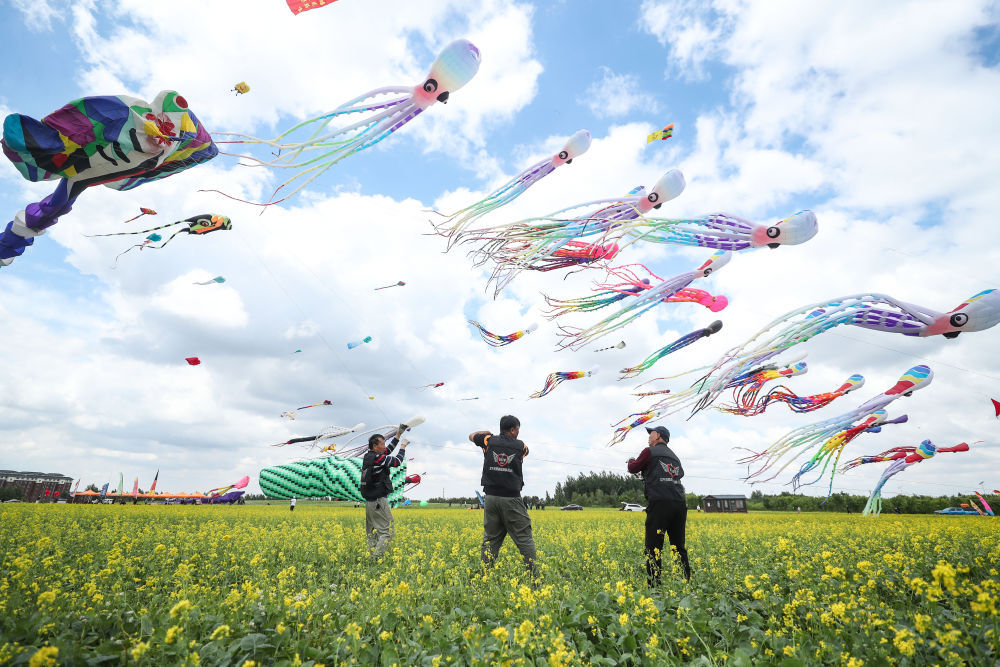 中国运动风筝联赛:“孙悟空、鲨鱼、哆啦A梦”乘风飞舞 中国运动风筝联赛:“孙悟空、鲨鱼、哆啦A梦”乘风飞舞