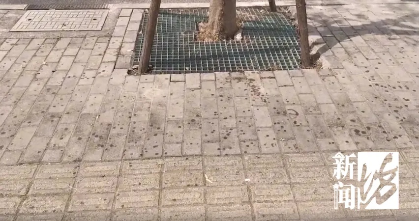 太恶心！街头这些不明粘液是啥？