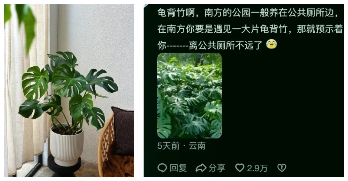 他靠卖这个月入200万，广州很多人买……