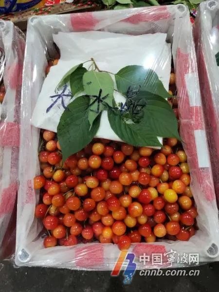 价格“腰斩”！这口酸甜滋味最近大热