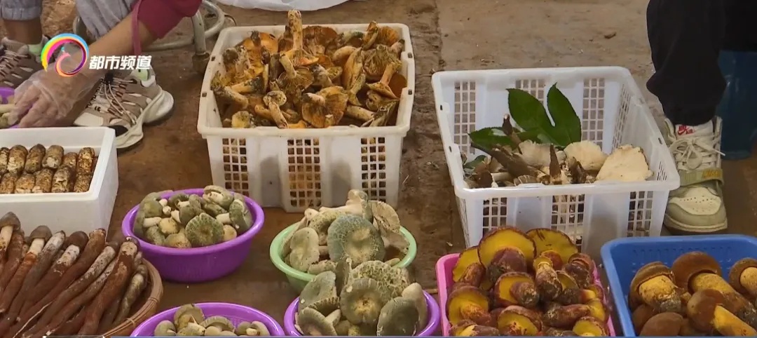 最新出炉！6个高风险地区！云南人悠着点！