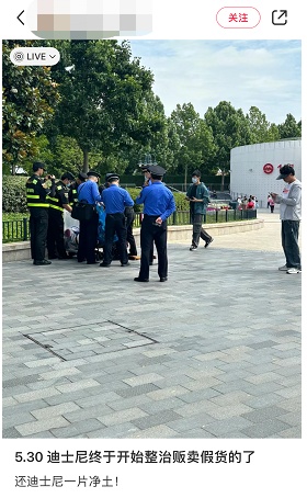 终于出手!上海迪士尼禁止这些人进入 终于出手!上海迪士尼禁止这些人进入