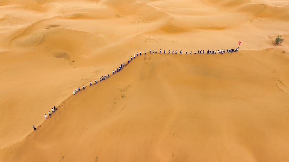 沙漠里的治沙研学课 沙漠里的治沙研学课