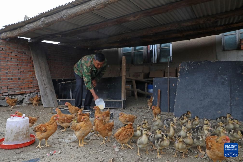 图片故事丨护林员李东魁——深情紧系万林涛 图片故事丨护林员李东魁——深情紧系万林涛