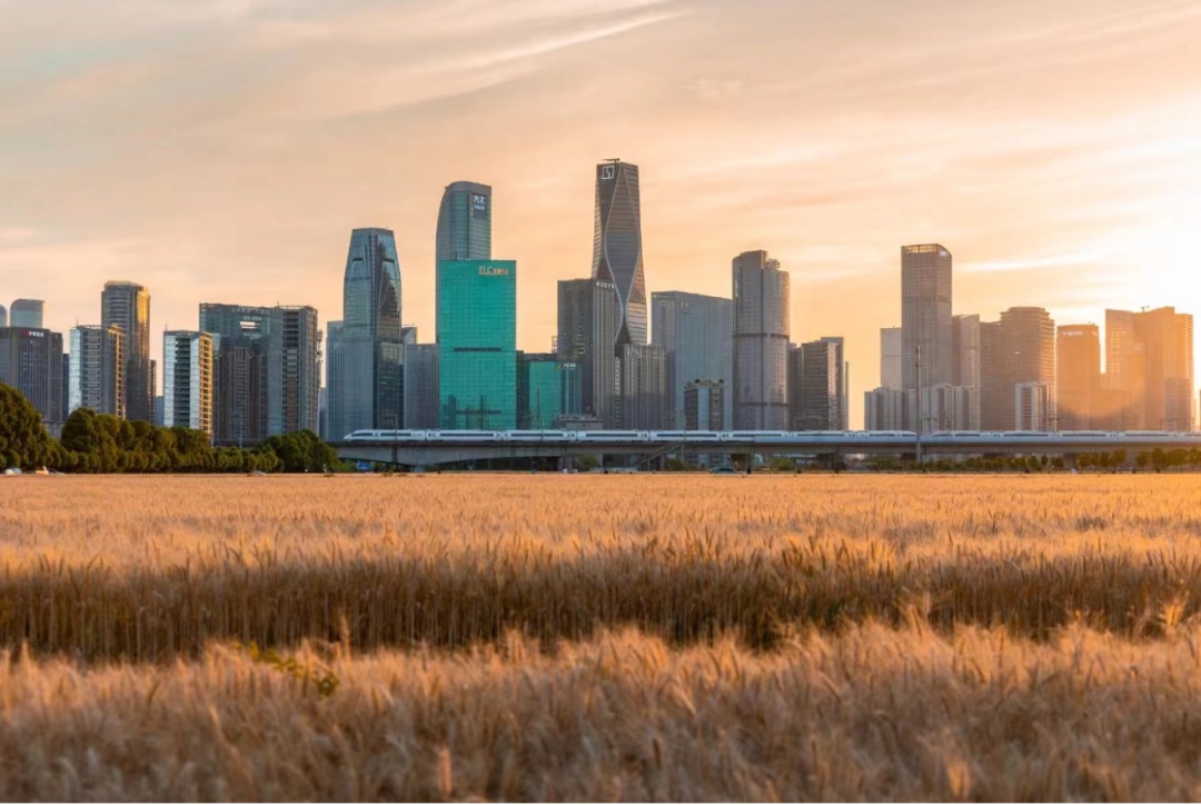 6月15日,长三角铁路大调图!新增开行这些列车 6月15日,长三角铁路大调图!新增开行这些列车