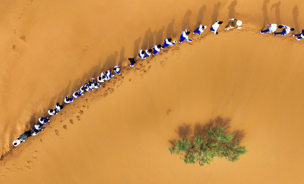 沙漠里的治沙研学课 沙漠里的治沙研学课