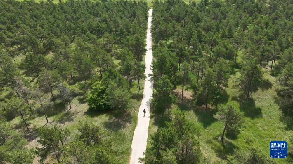 图片故事丨护林员李东魁——深情紧系万林涛 图片故事丨护林员李东魁——深情紧系万林涛