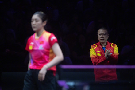 陈梦挺进女单八强 陈梦挺进女单八强