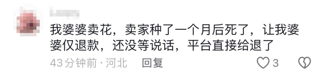 女店主为12双袜子千里追踪“羊毛党” 网友：是该给他上一课