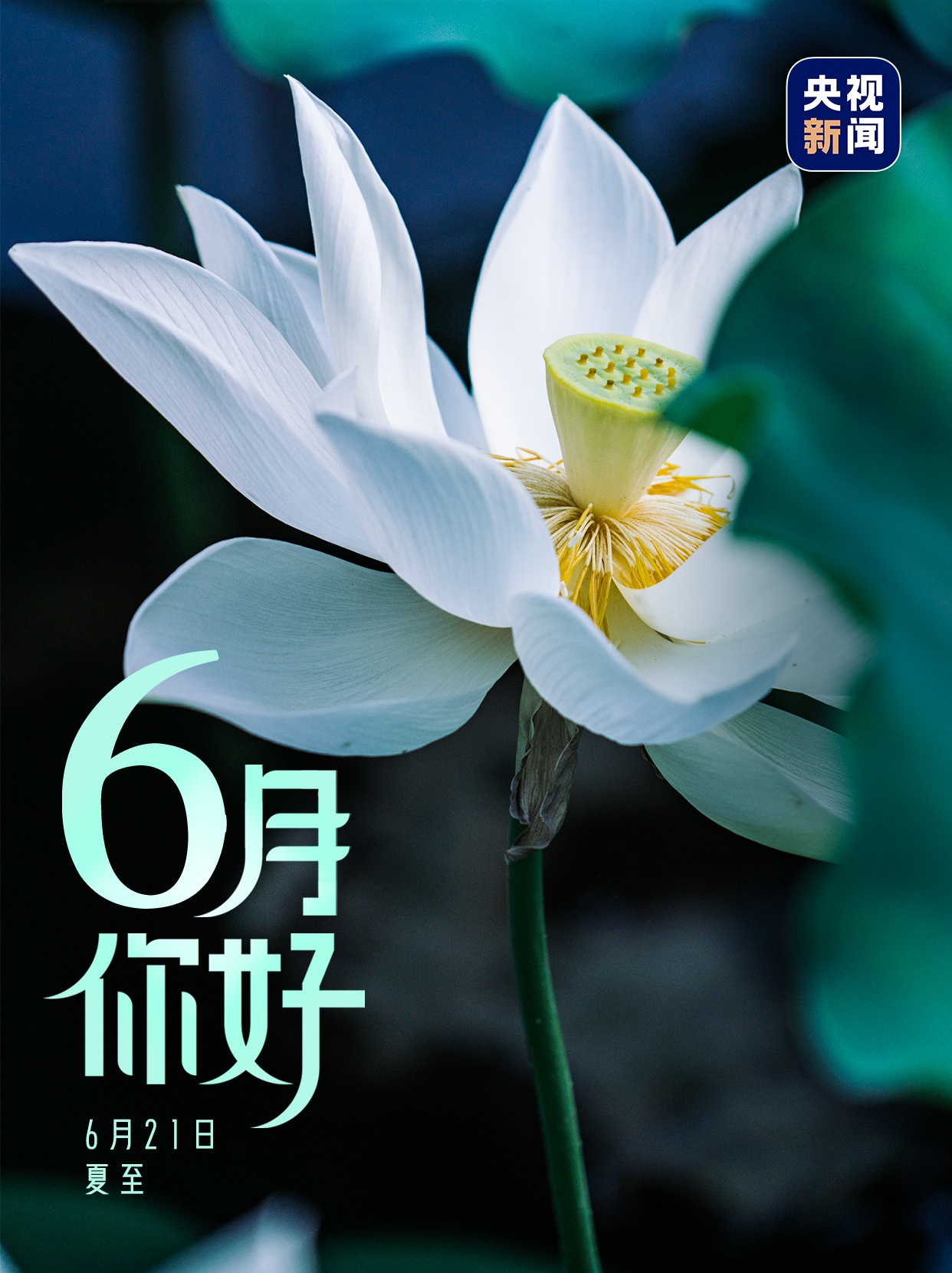 6月,你好! 6月,你好!