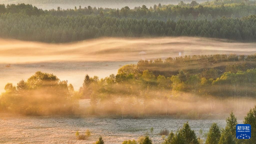 河北塞罕坝：山川雾霭 光影流岚