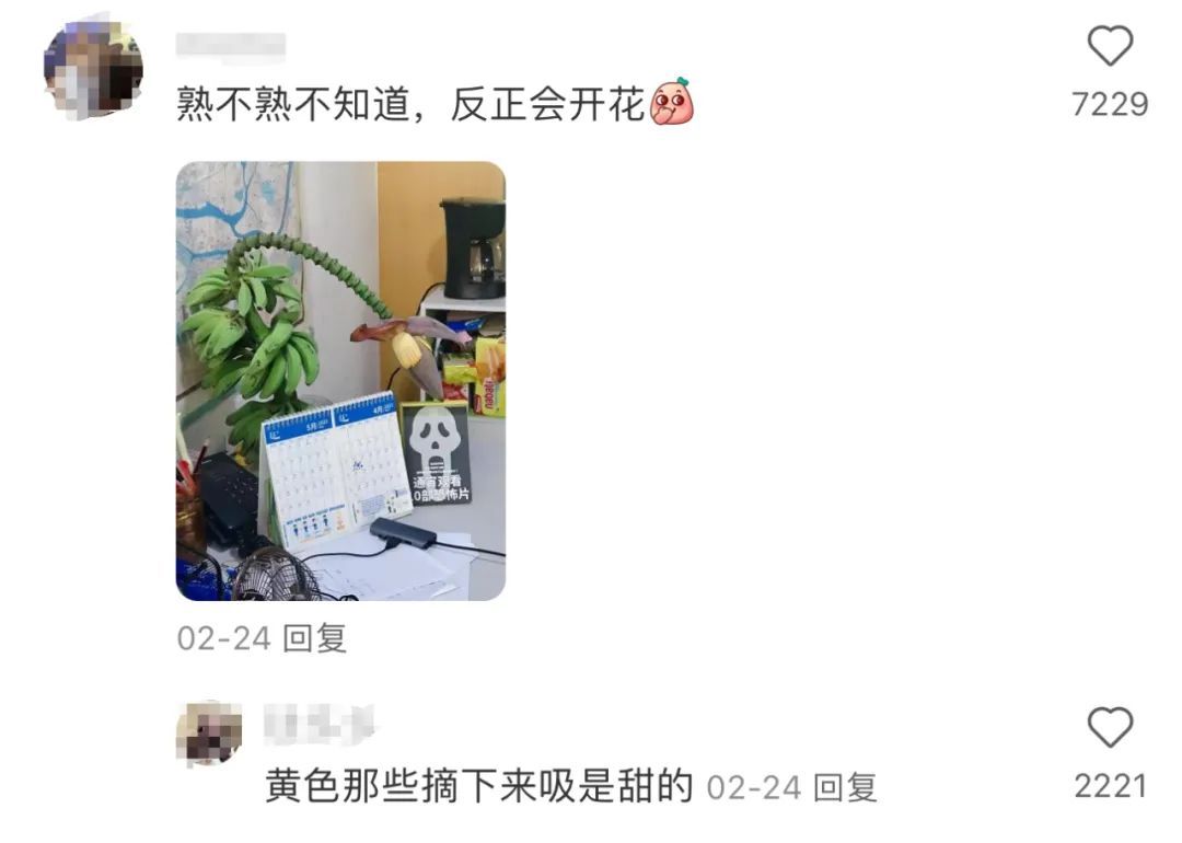 他靠卖这个月入200万，广州很多人买……