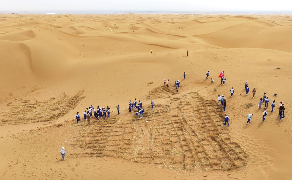 沙漠里的治沙研学课 沙漠里的治沙研学课