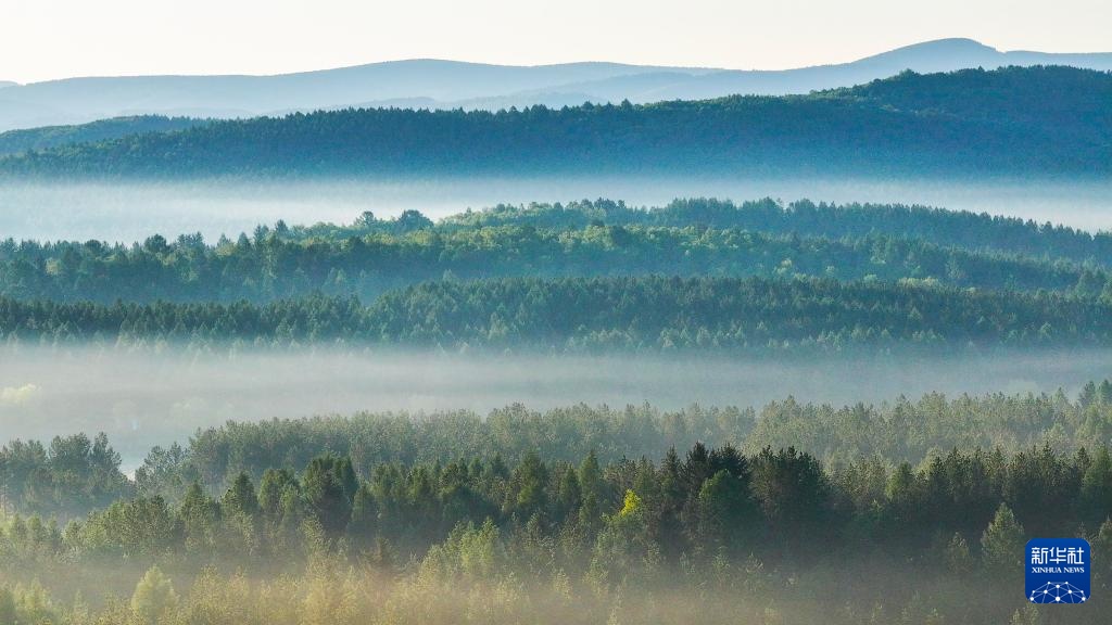 河北塞罕坝：山川雾霭 光影流岚