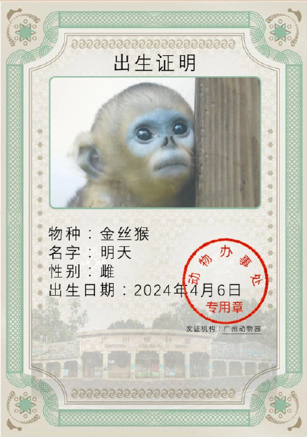 广州动物园今年过“六一”的“小朋友”增加啦！动物“宝宝”们畅享萌趣“儿童节”