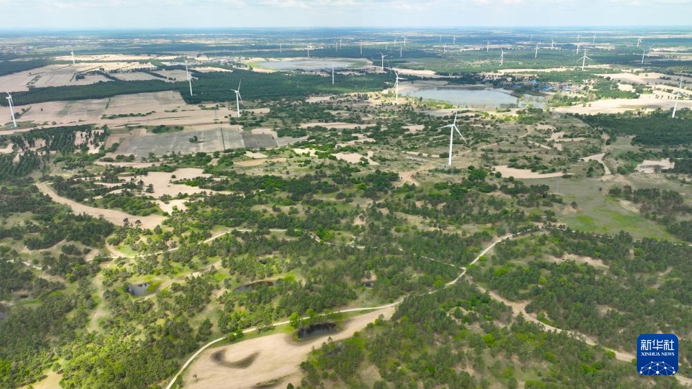 图片故事丨护林员李东魁——深情紧系万林涛 图片故事丨护林员李东魁——深情紧系万林涛