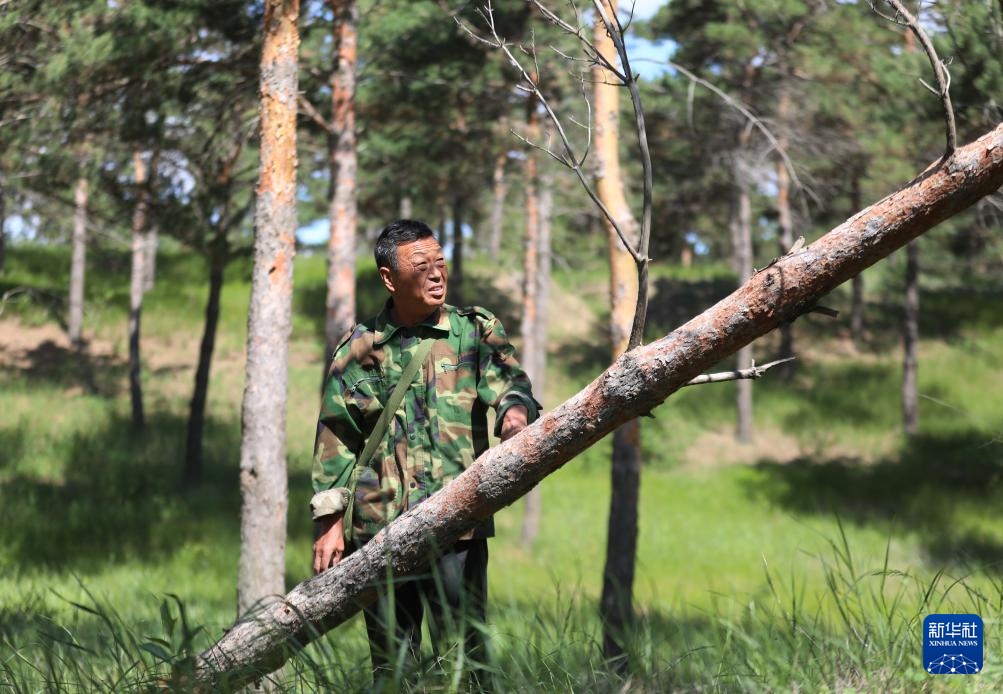 图片故事丨护林员李东魁——深情紧系万林涛 图片故事丨护林员李东魁——深情紧系万林涛
