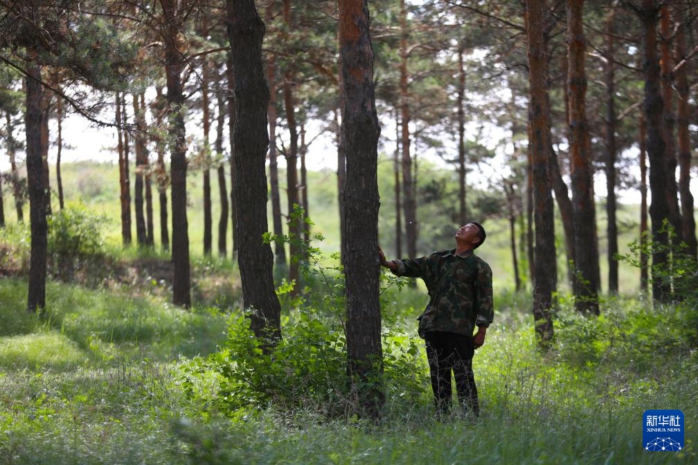 图片故事丨护林员李东魁——深情紧系万林涛 图片故事丨护林员李东魁——深情紧系万林涛
