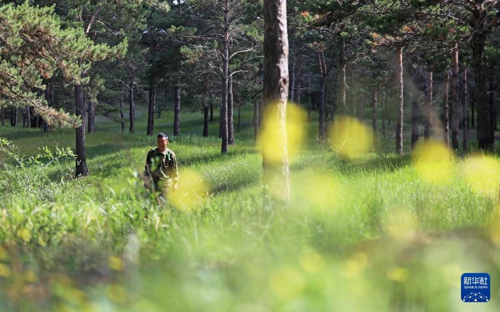 图片故事丨护林员李东魁——深情紧系万林涛 图片故事丨护林员李东魁——深情紧系万林涛