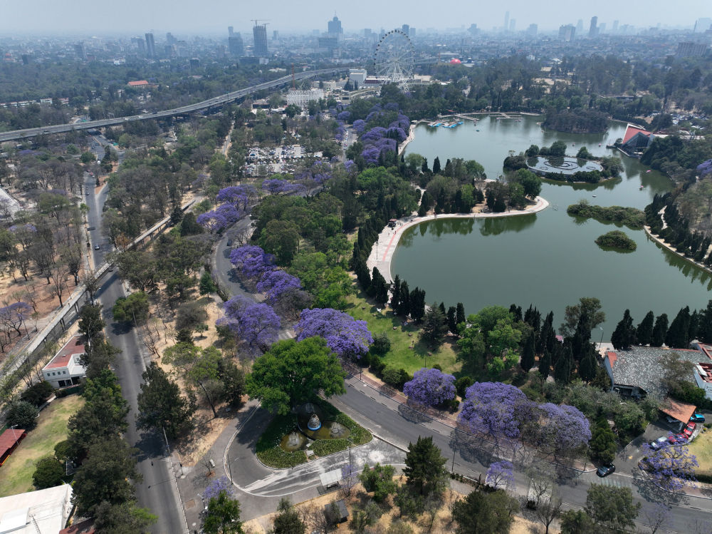 墨西哥或选出首位女总统