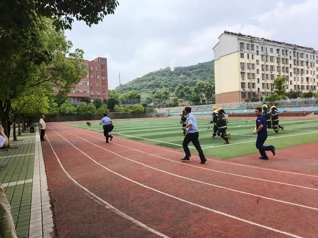 事发校园！保安大爷大战野猪→