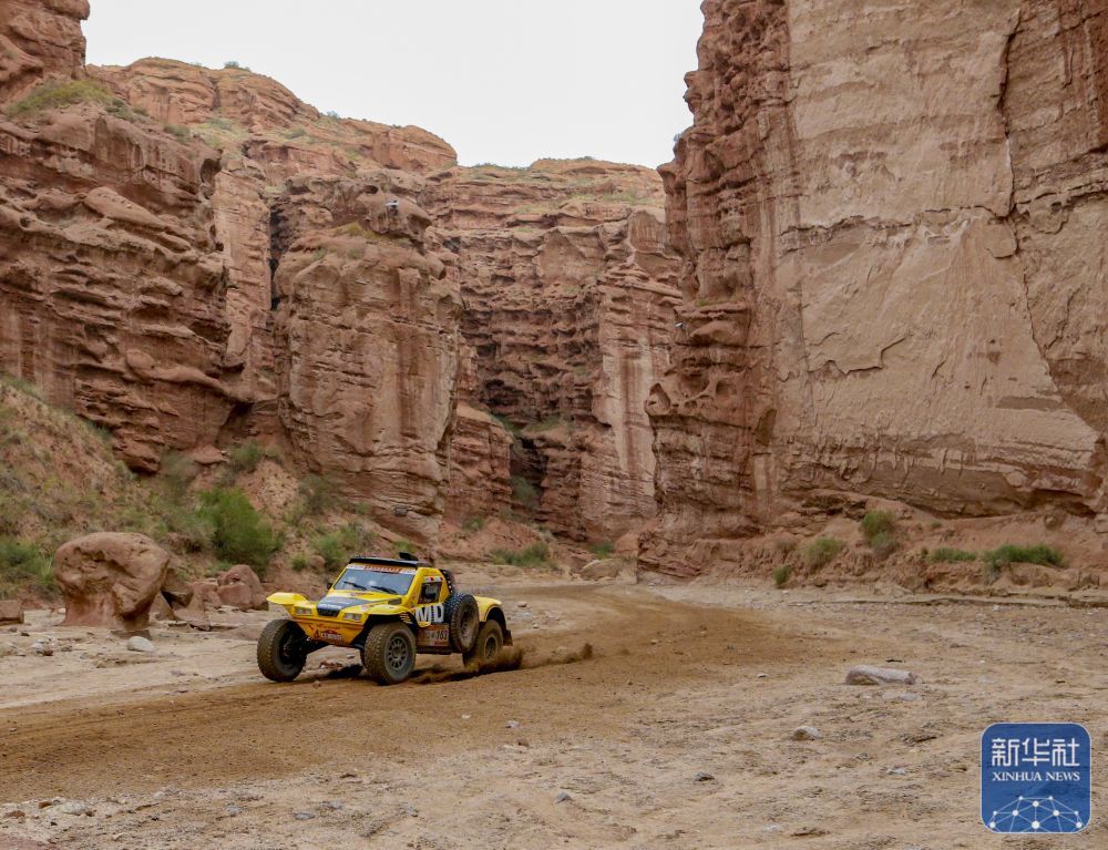 多图!2024年环塔拉力赛第九赛段精彩瞬间 多图!2024年环塔拉力赛第九赛段精彩瞬间