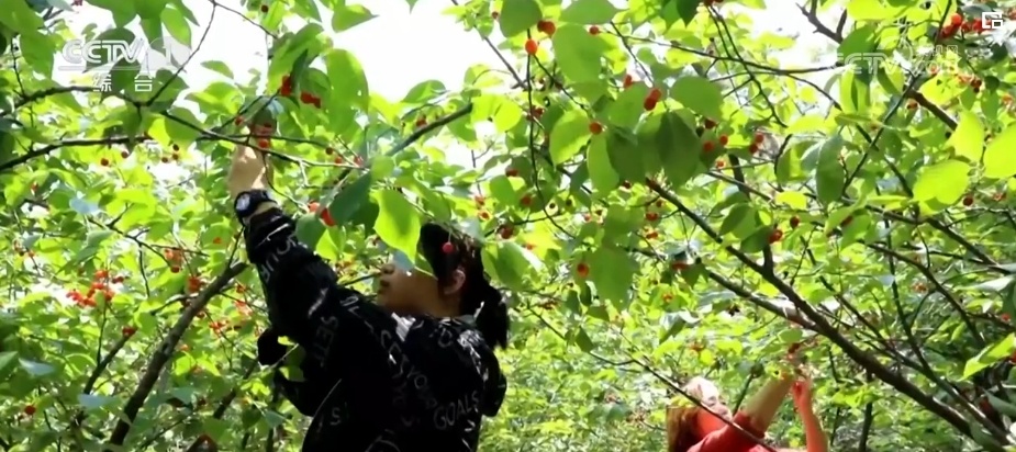 清江碧水促民生 百姓享受绿色发展福祉